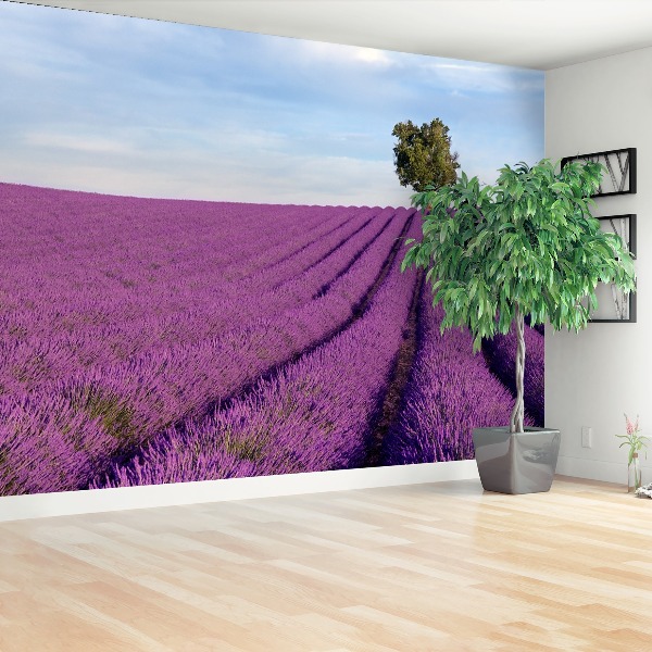 Wallpaper Lavender field