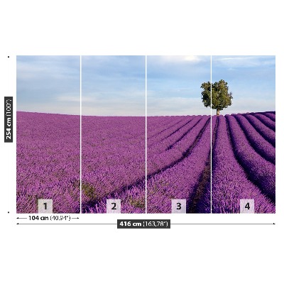 Wallpaper Lavender field