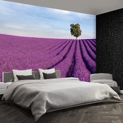 Wallpaper Lavender field