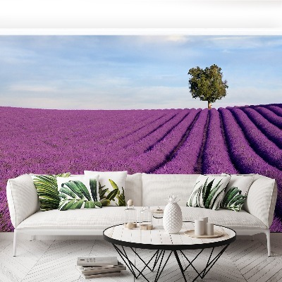 Wallpaper Lavender field