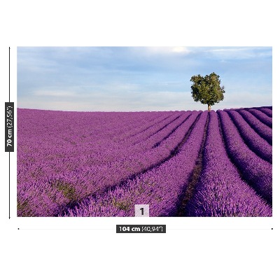 Wallpaper Lavender field