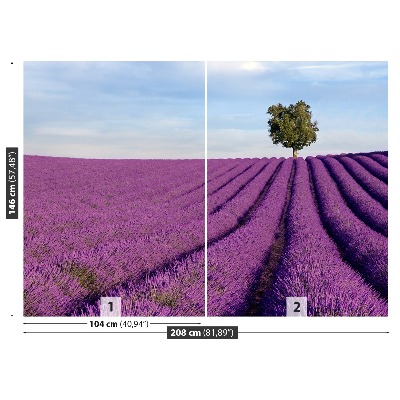 Wallpaper Lavender field