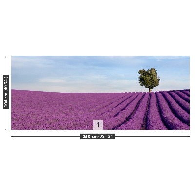 Wallpaper Lavender field