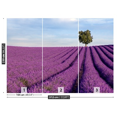 Wallpaper Lavender field