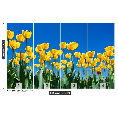 Wallpaper Tulips flowers