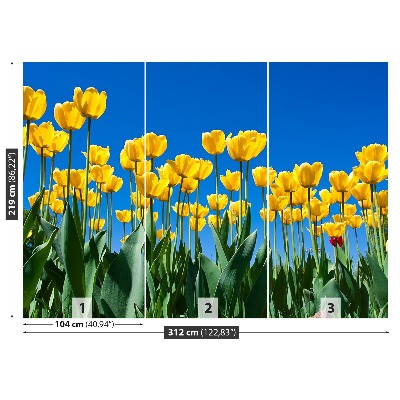 Wallpaper Tulips flowers