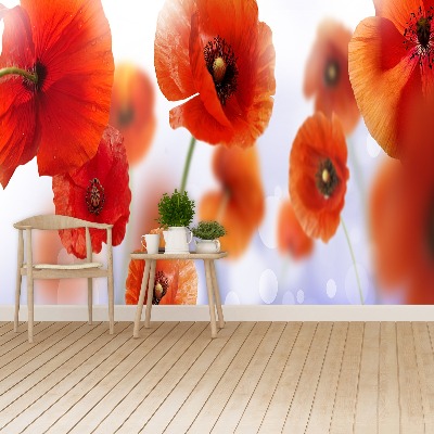 Wallpaper Poppy seed