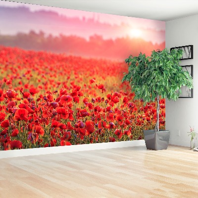 Wallpaper Field with poppies