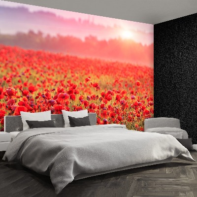 Wallpaper Field with poppies