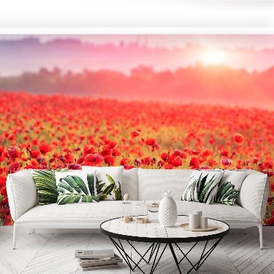 Wallpaper Field with poppies