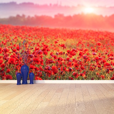 Wallpaper Field with poppies