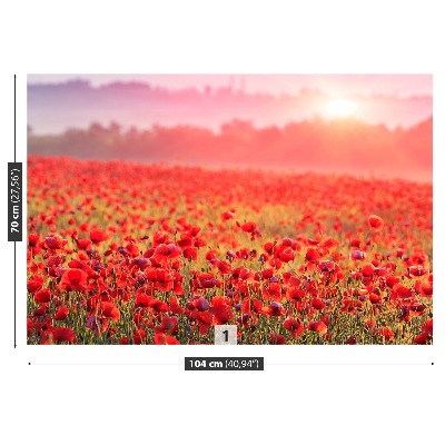 Wallpaper Field with poppies