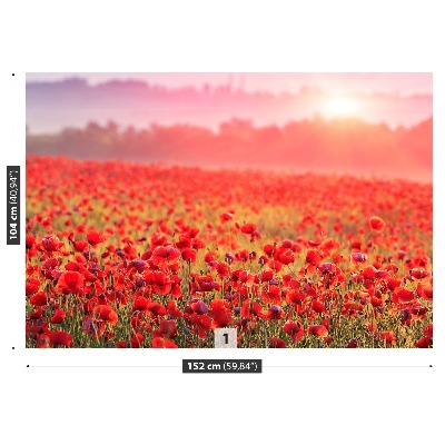 Wallpaper Field with poppies