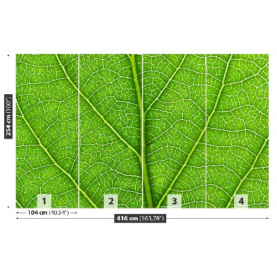 Wallpaper Green leaf