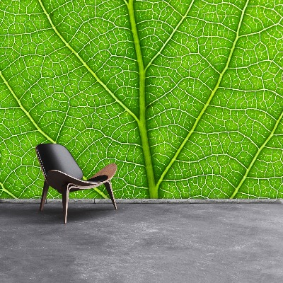 Wallpaper Green leaf