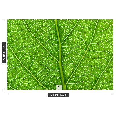 Wallpaper Green leaf