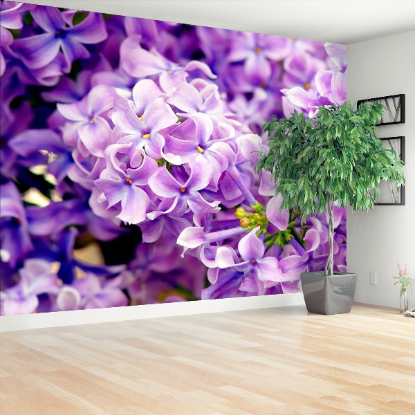 Wallpaper Violet flowers