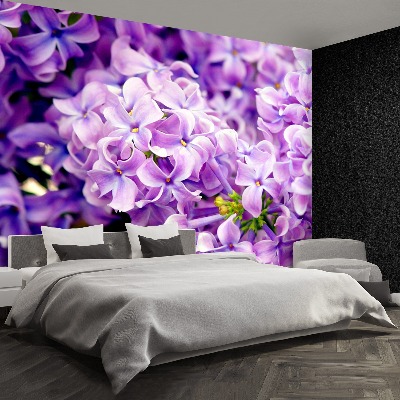 Wallpaper Violet flowers