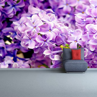 Wallpaper Violet flowers