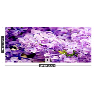 Wallpaper Violet flowers