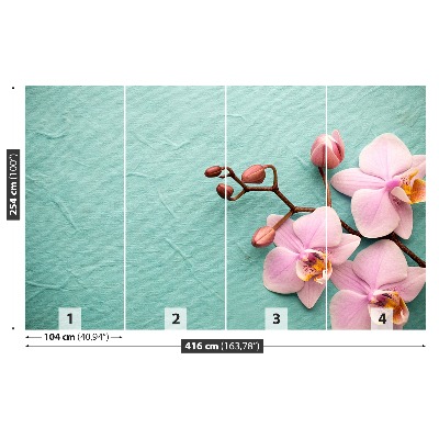 Wallpaper Orchid pink