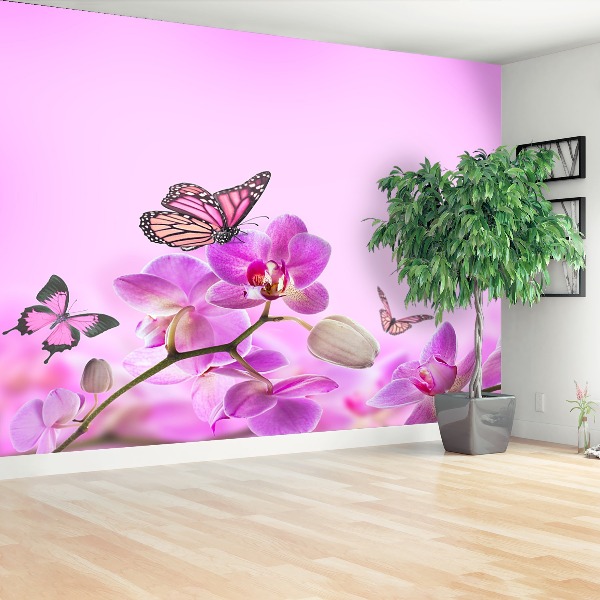 Wallpaper Orchid butterfly