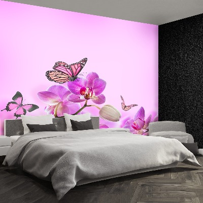 Wallpaper Orchid butterfly