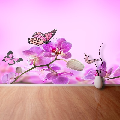 Wallpaper Orchid butterfly