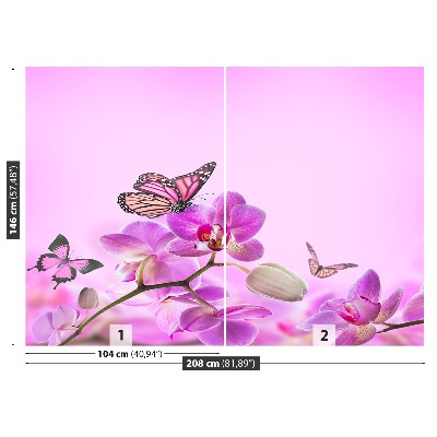 Wallpaper Orchid butterfly