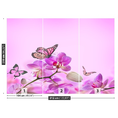 Wallpaper Orchid butterfly