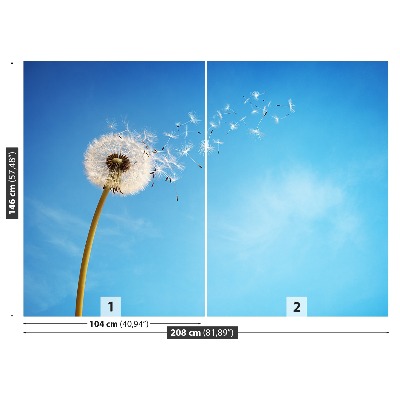 Wallpaper Dandelion