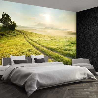 Wallpaper Meadow and sunrise