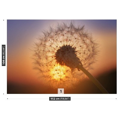 Wallpaper Dandelion