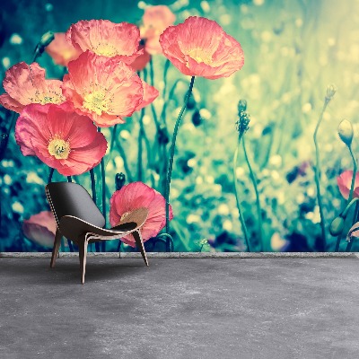 Wallpaper Vintage poppies