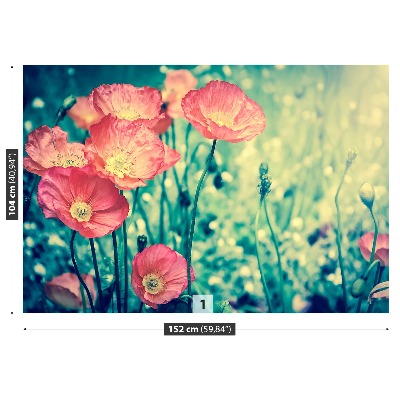 Wallpaper Vintage poppies