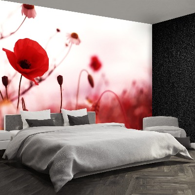 Wallpaper Poppy field