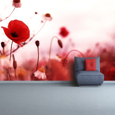 Wallpaper Poppy field