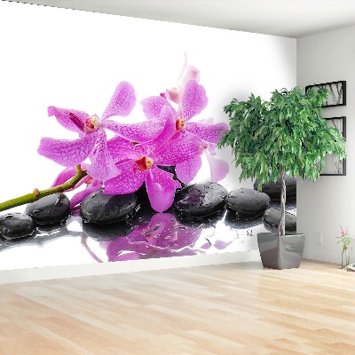 Wallpaper Pink orchid