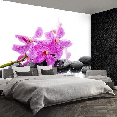 Wallpaper Pink orchid