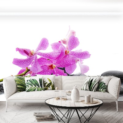 Wallpaper Pink orchid