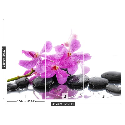 Wallpaper Pink orchid