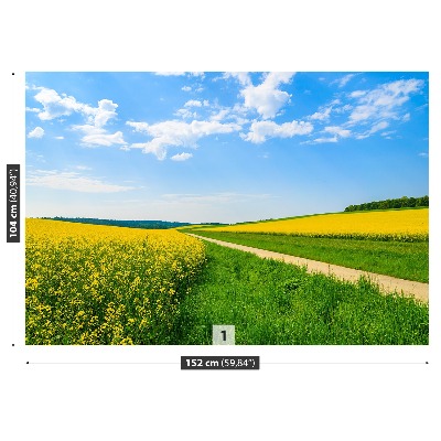 Wallpaper Field of rape