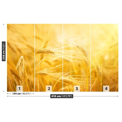 Wallpaper Wheat field