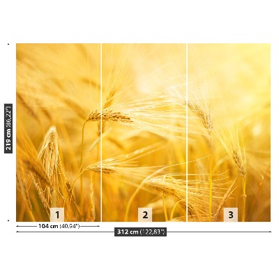 Wallpaper Wheat field