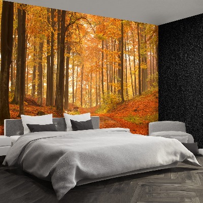 Wallpaper Autumn forest