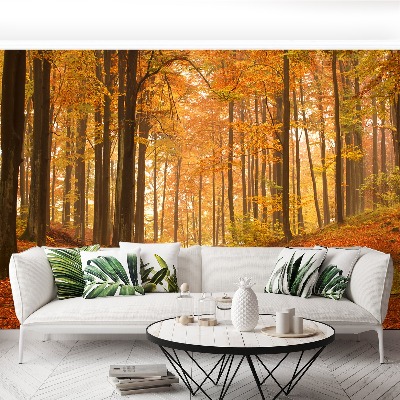 Wallpaper Autumn forest