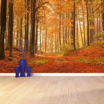 Wallpaper Autumn forest