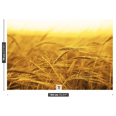 Wallpaper Wheat field