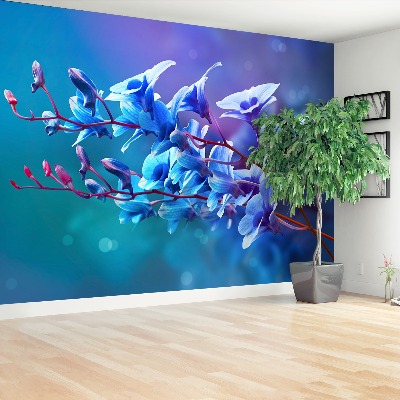 Wallpaper Orchid blue