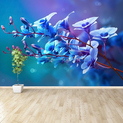 Wallpaper Orchid blue